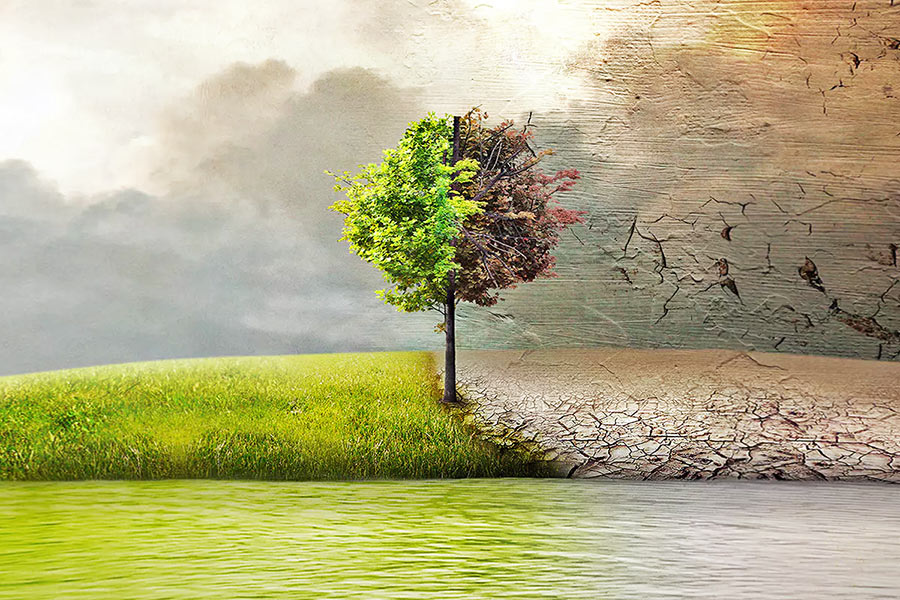 Makanan Bergizi yang Membantu Menjaga Stamina Sepanjang Hari